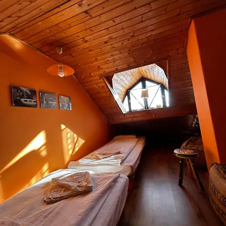 Mediterran Rose * Zamárdi