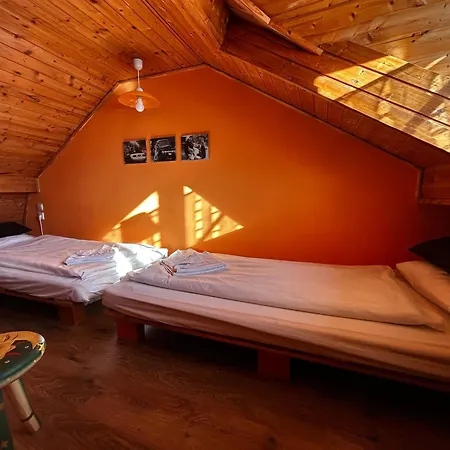 Mediterran Rose * Zamárdi