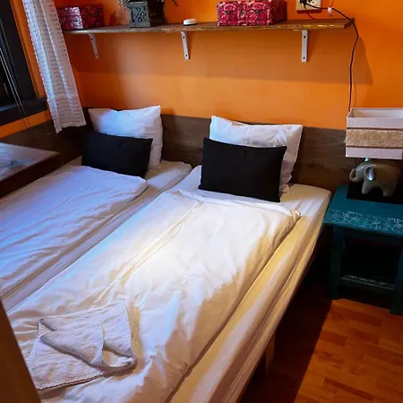 Mediterran Rose Zamárdi