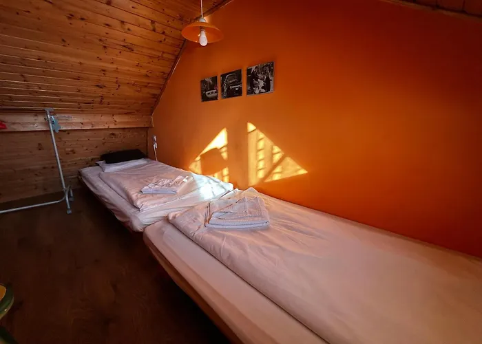 Mediterran Rose * Zamárdi