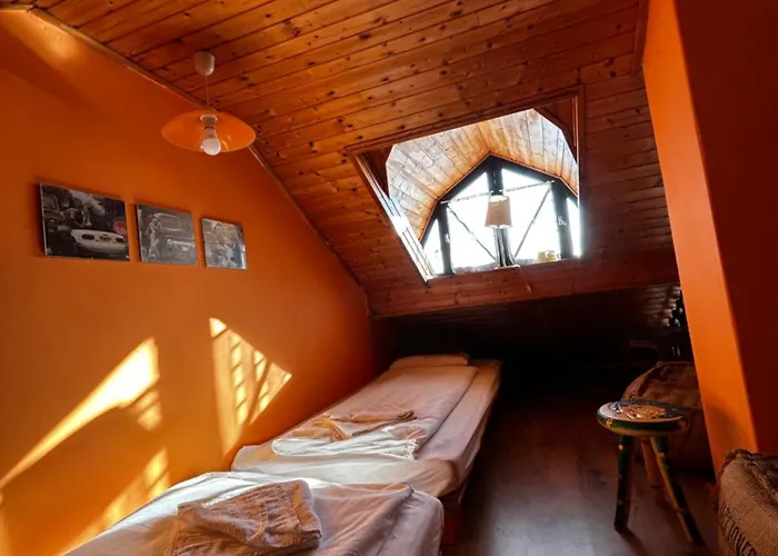 Mediterran Rose * Zamárdi