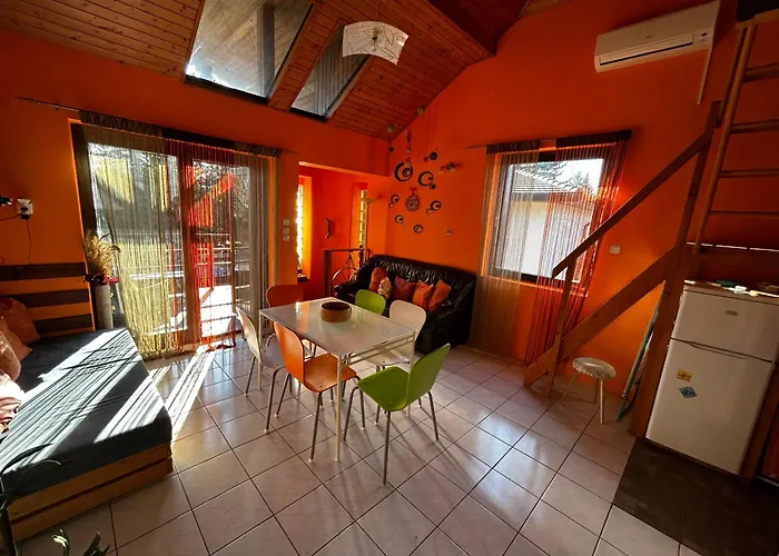 Mediterran Rose * Zamárdi