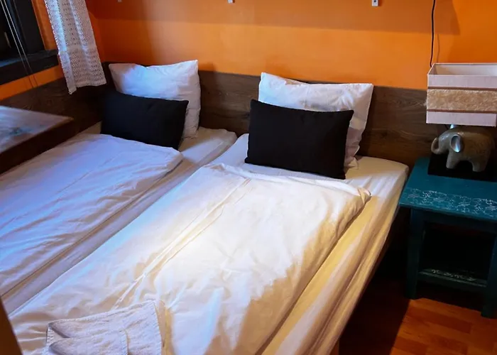 Mediterran Rose Zamárdi