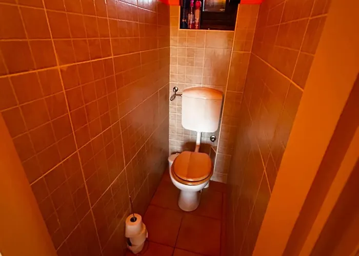 Mediterran Rose * Zamárdi